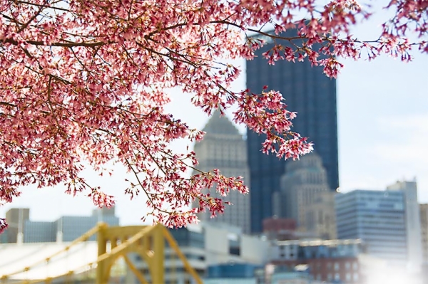 A Pittsburgh Spring.jpg